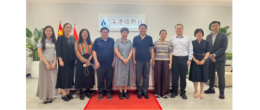 国家开展改革委国际合作中心领导一行调研深港凯发K8