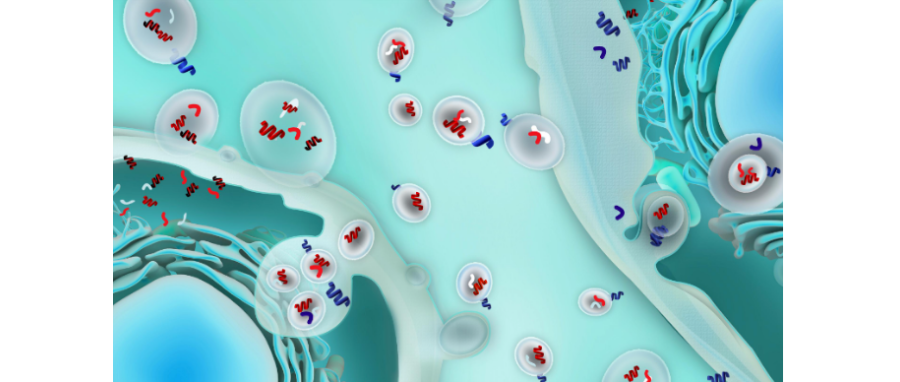 哪吒闹海！外泌体面纱大揭秘，我命由我不由天！