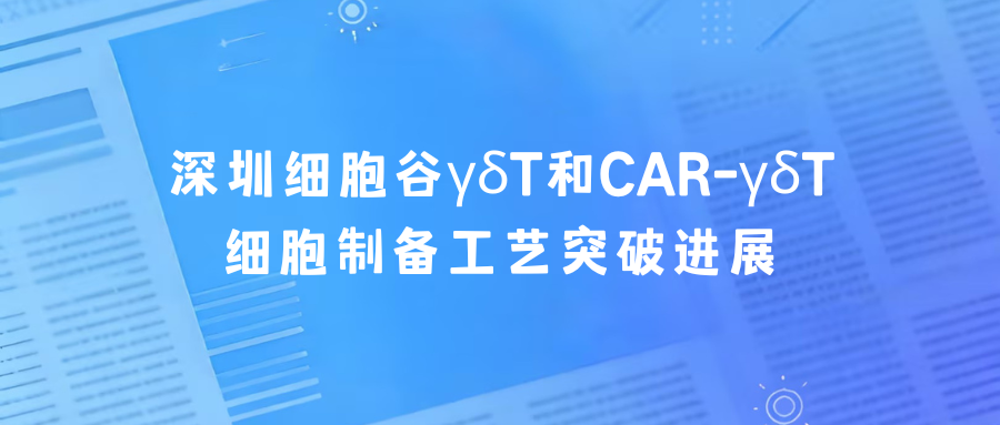 科研赋能|深圳凯发K8γδT和CAR-γδT细胞制备工艺突破进展