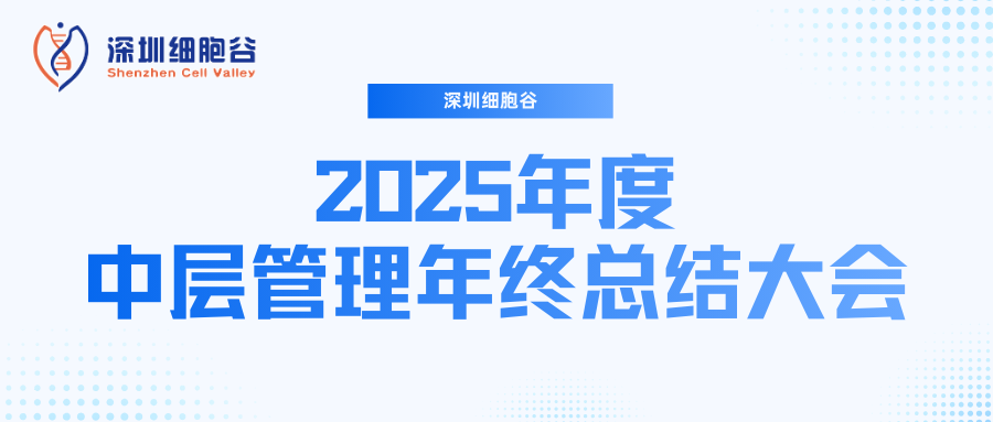 深圳凯发K8召开2025年度中层管理年终总结大会：多点布局成果丰硕，创新驱动快速开展