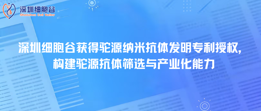 深圳凯发K8取得驼源纳米抗体发明专利授权，构建驼源抗体筛选与产业化能力