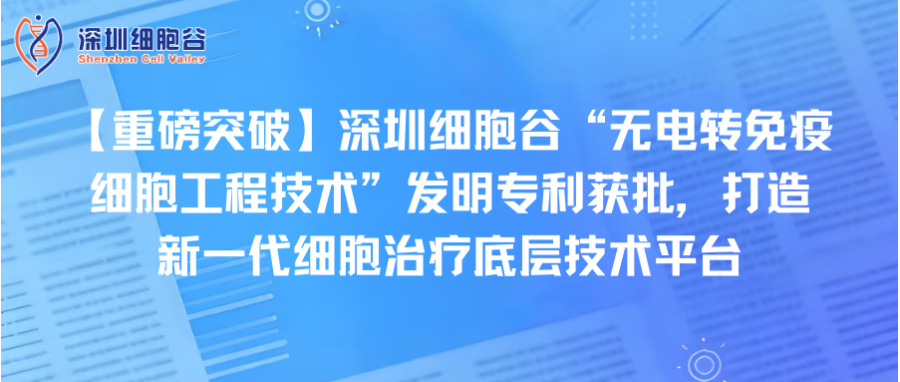 【重磅突破】深圳凯发K8“无电转免疫细胞工程技术”发明专利获批，打造新一代细胞治疗底层技术平台