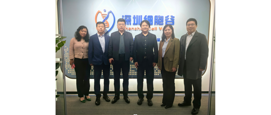 研讨合作｜河南科技大学第二附属医院院长邢建武、副院长王慧睿一行莅临深圳凯发K8研讨访问